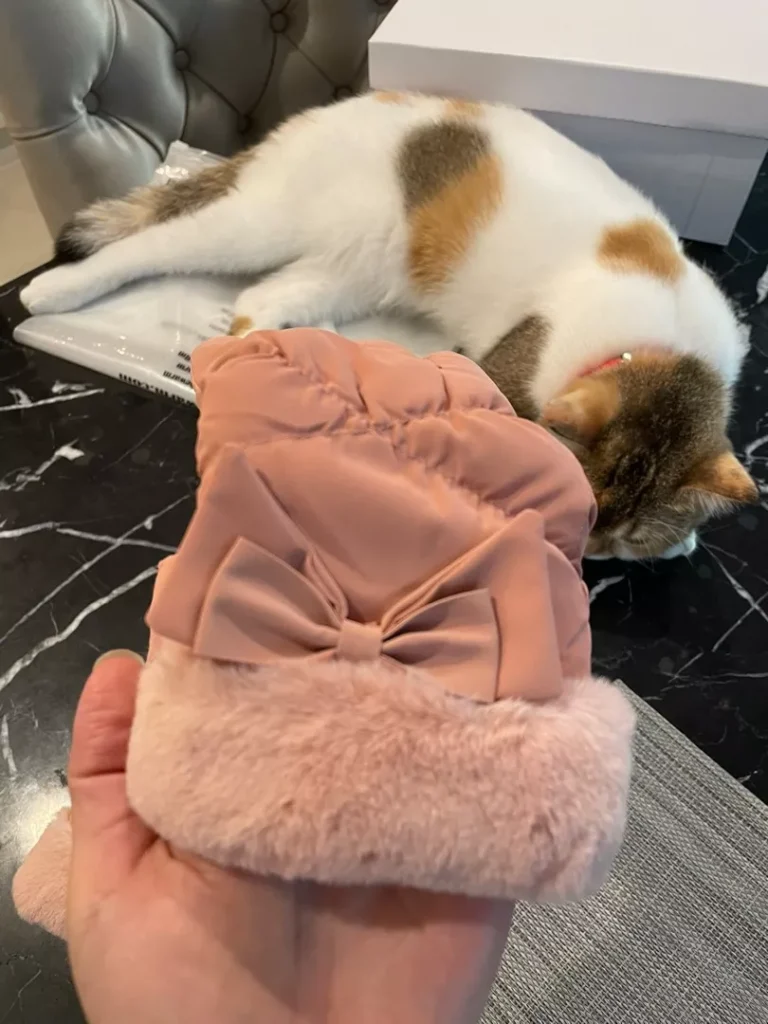 Image #1 from t*****a