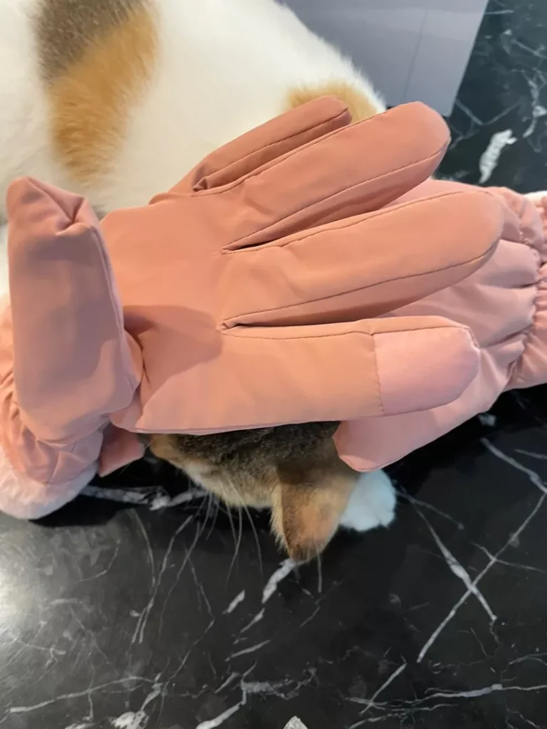 Image #4 from t*****a